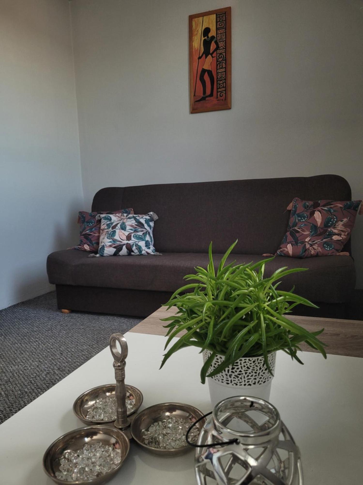 Apartament Zdunska Wloclawek Ngoại thất bức ảnh
