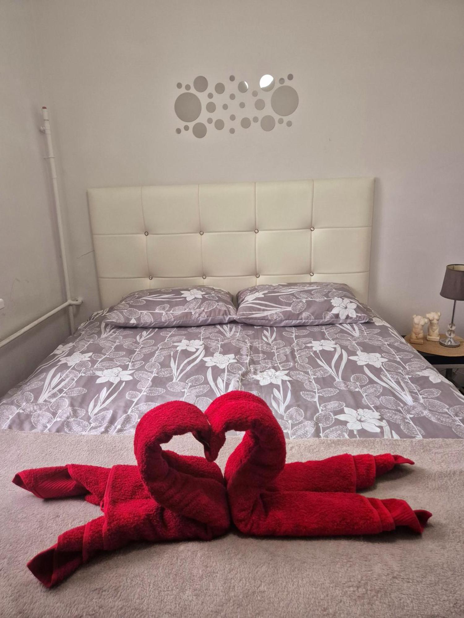 Apartament Zdunska Wloclawek Ngoại thất bức ảnh